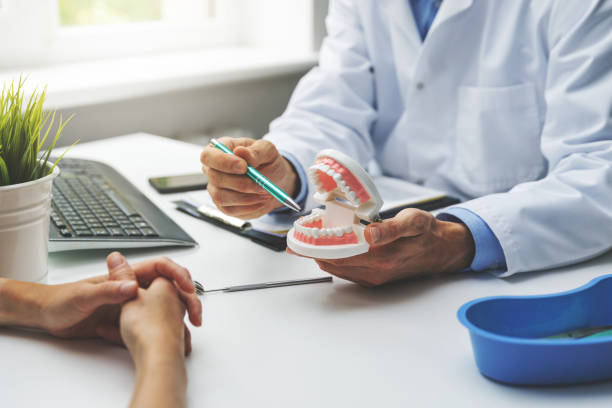 Professional  Holistic Dental Services in Essex Junction, VT